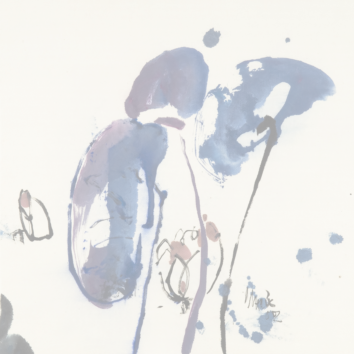 waterlillys  60-60 cm.